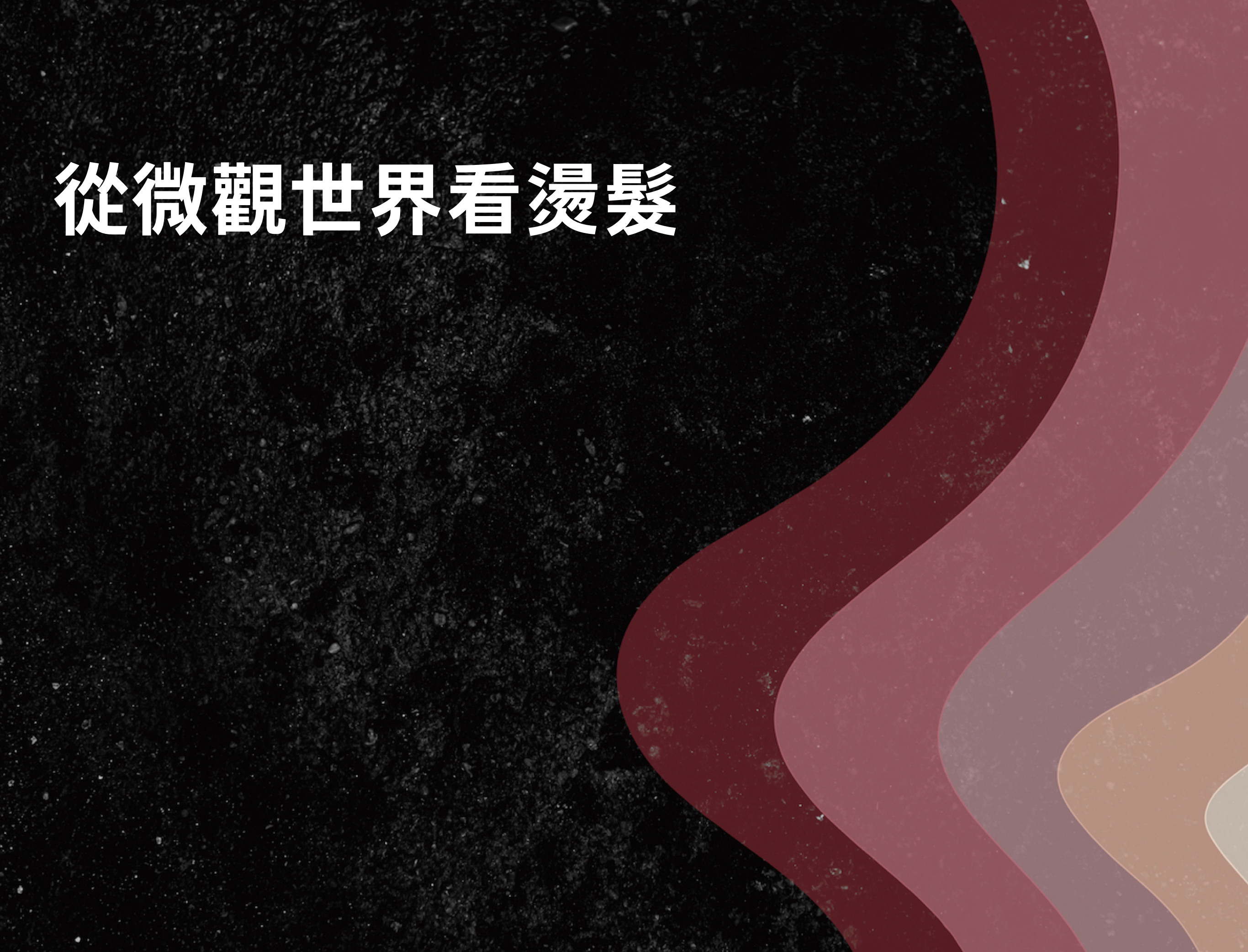 從微觀世界看燙髮.003